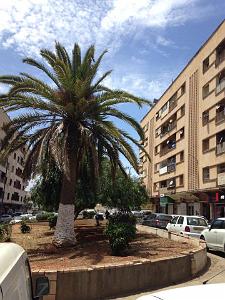 ORAN - HLM DE GAMBETTA (4)